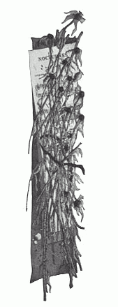 Frammenti V