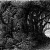 Le voci del bosco